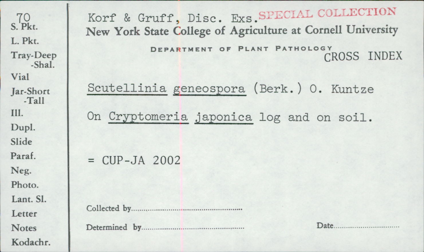 Scutellinia geneospora image