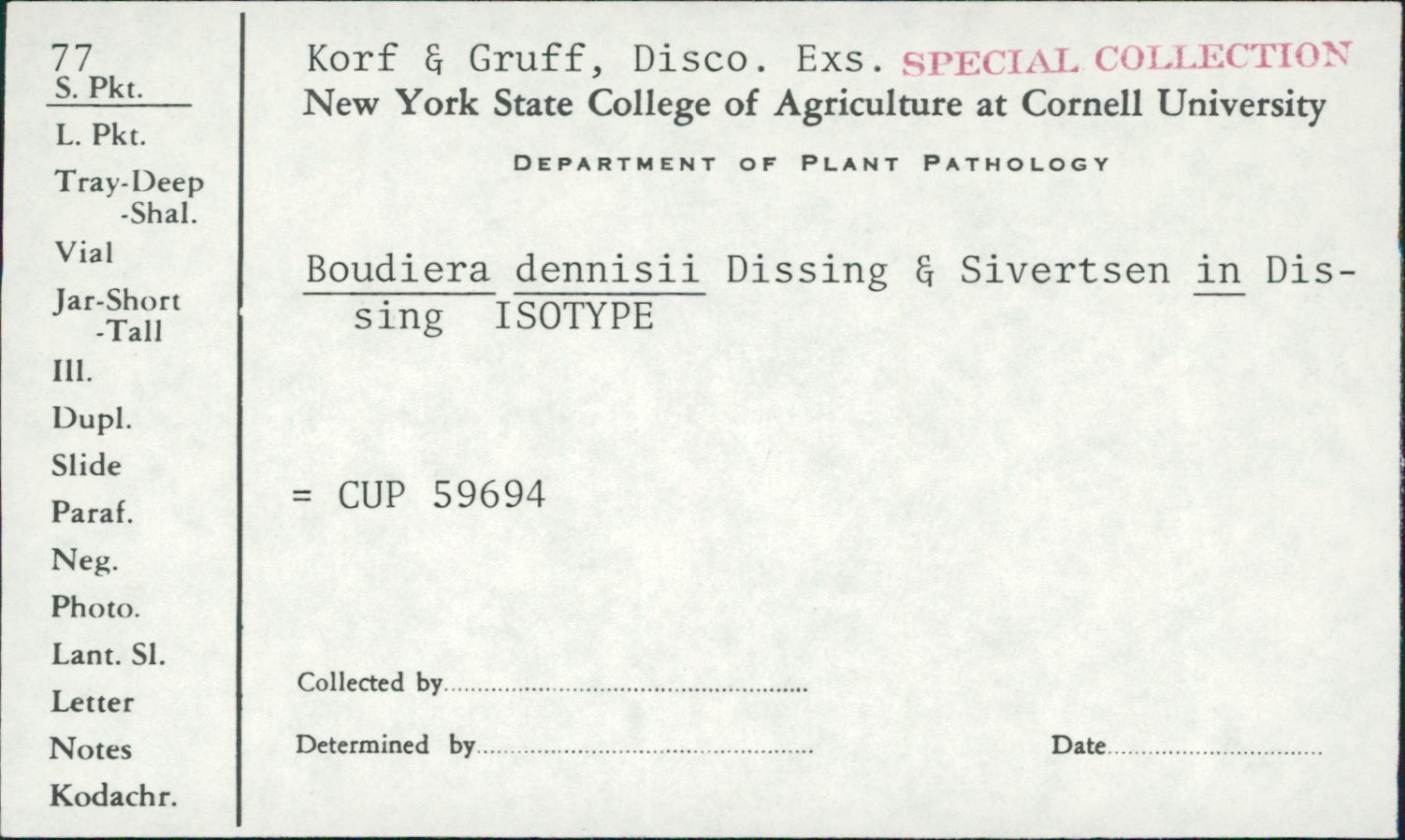 Boudiera dennisii image
