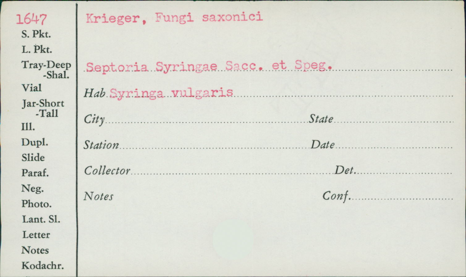 Septoria syringae image