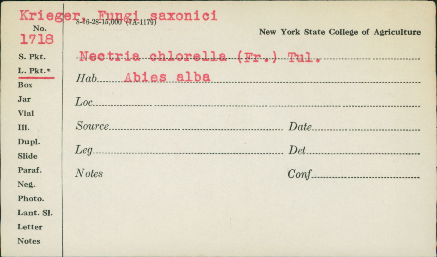 Nectria chlorella image