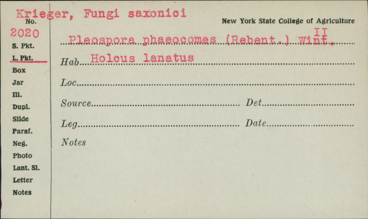 Pyrenophora phaeocomes image