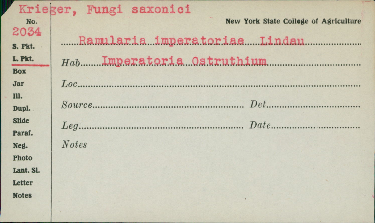 Ramularia imperatoriae image