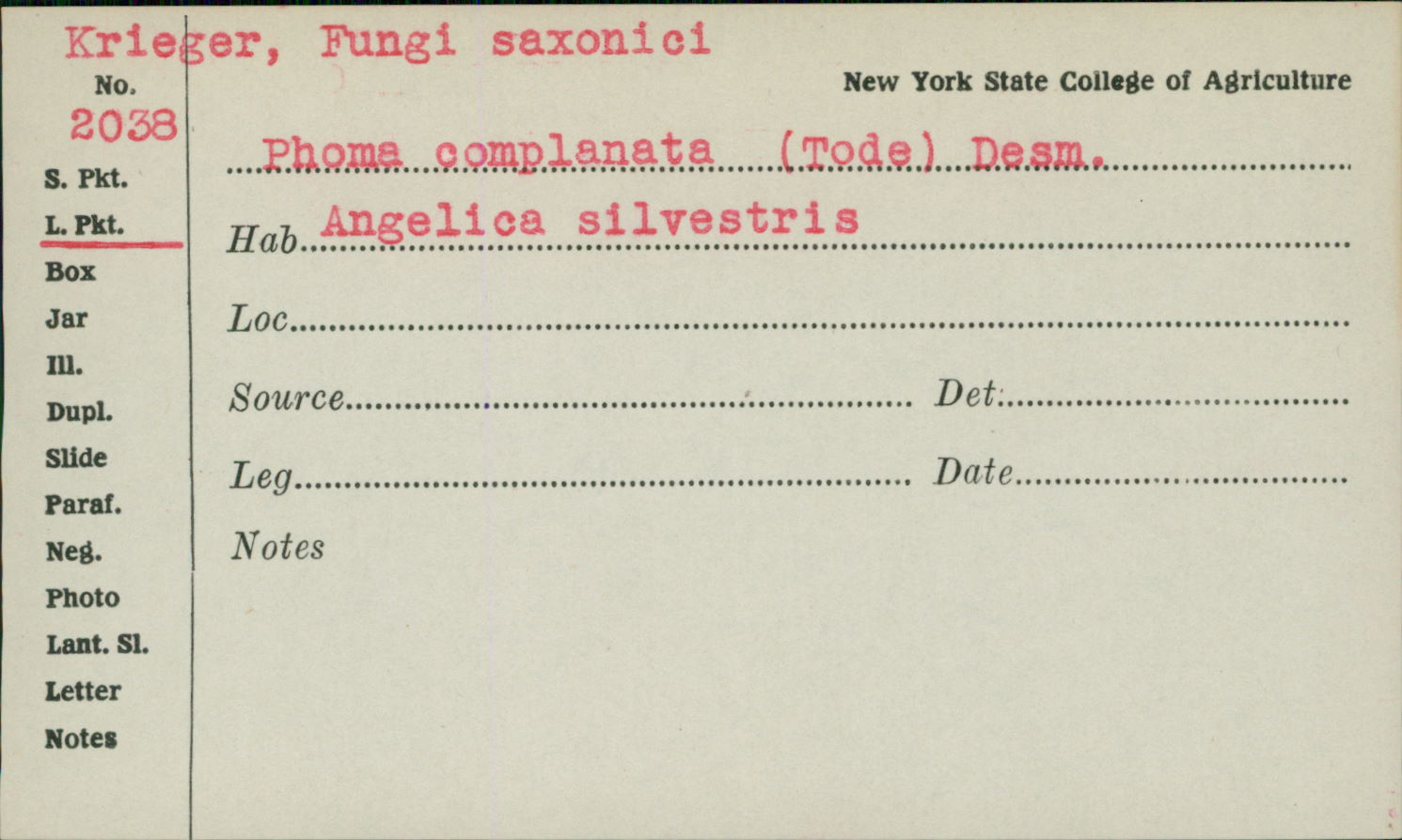 Phoma complanata image