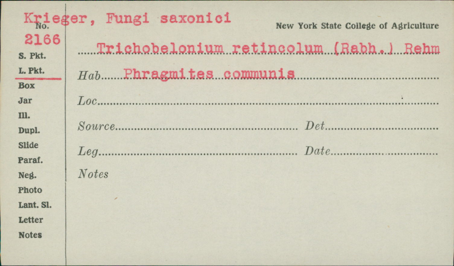 Trichobelonium kneiffii image