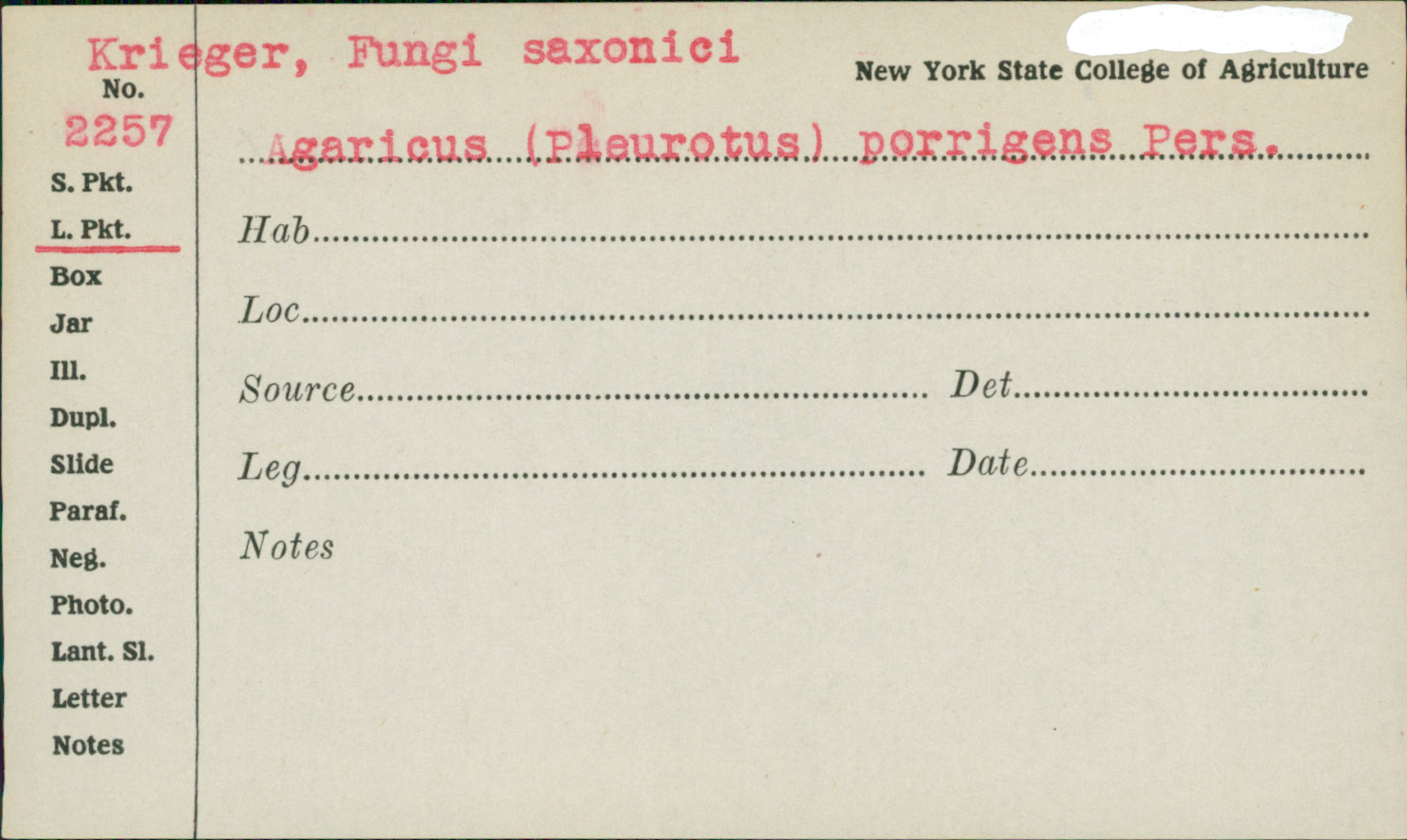 Agaricus porrigens image