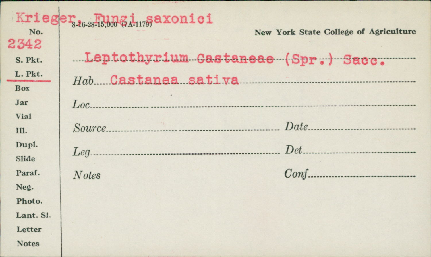 Leptothyrium castaneae image