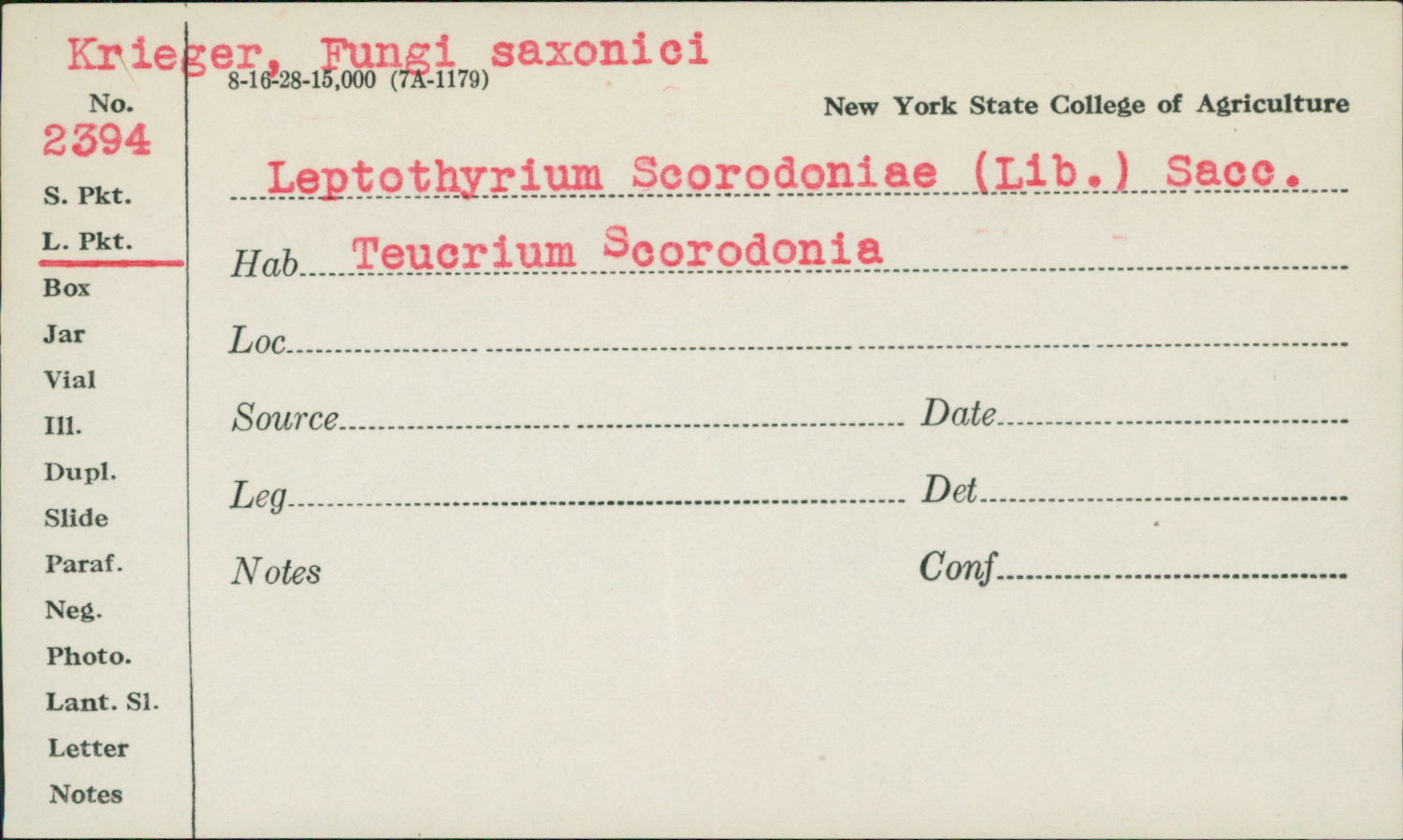 Leptothyrium scorodoniae image