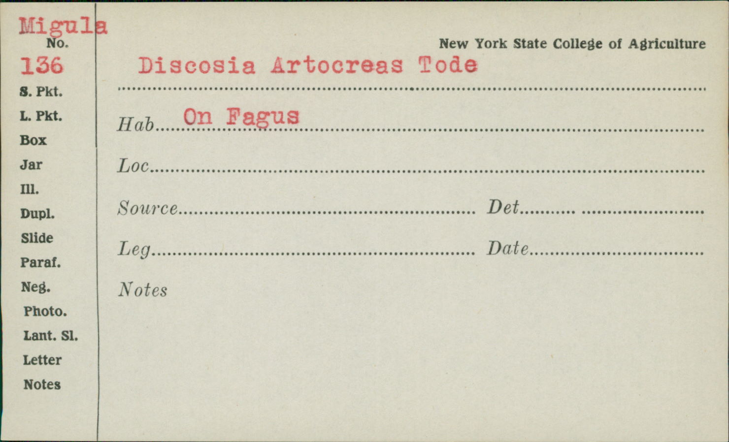 Discosia artocreas image