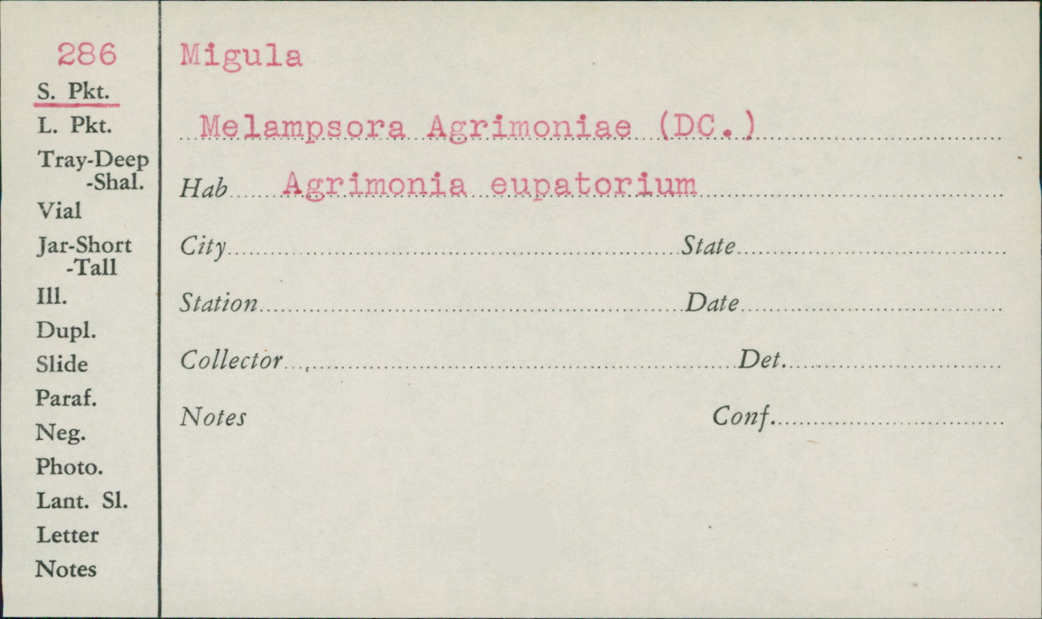 Melampsora agrimoniae image