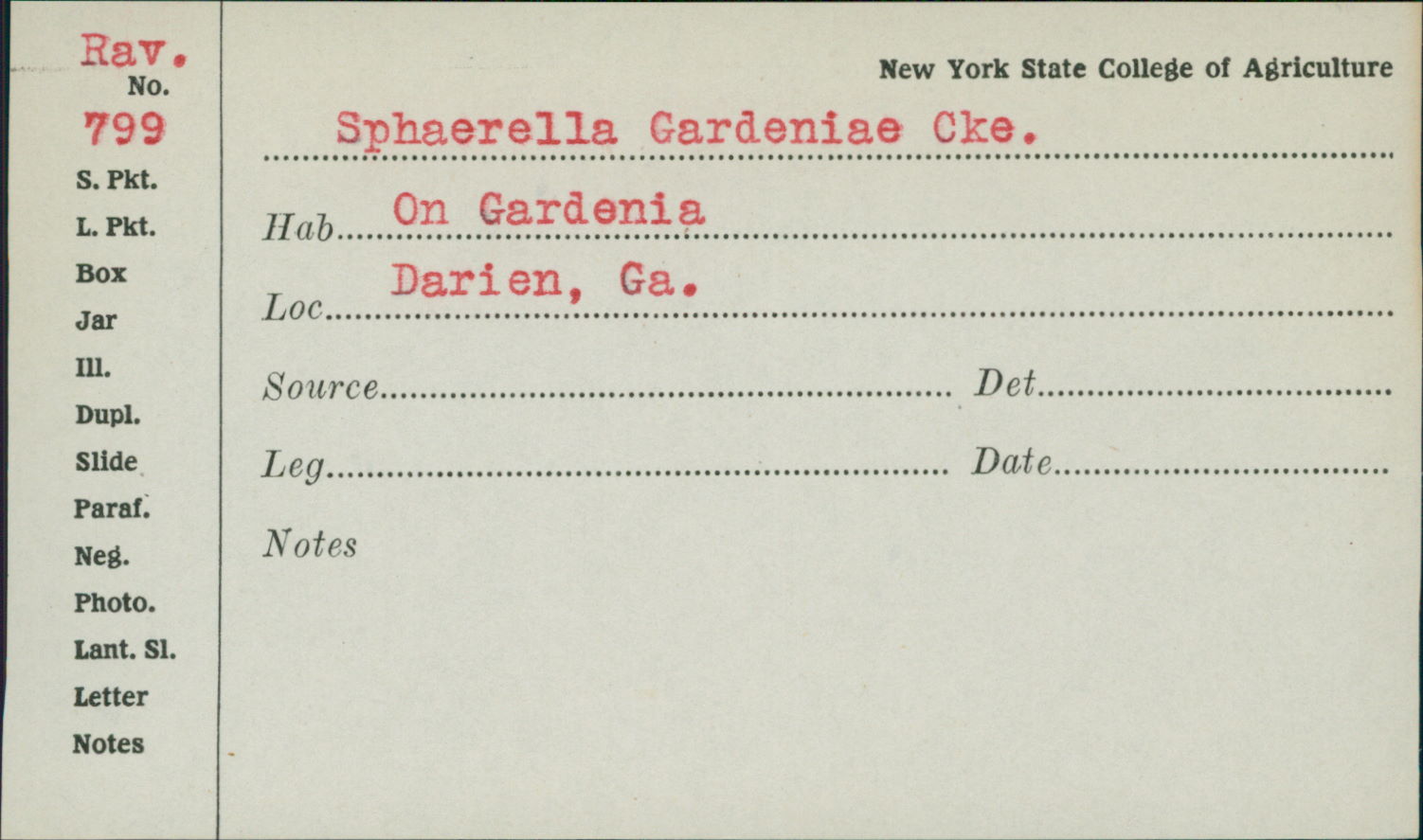 Sphaerella gardeniae image