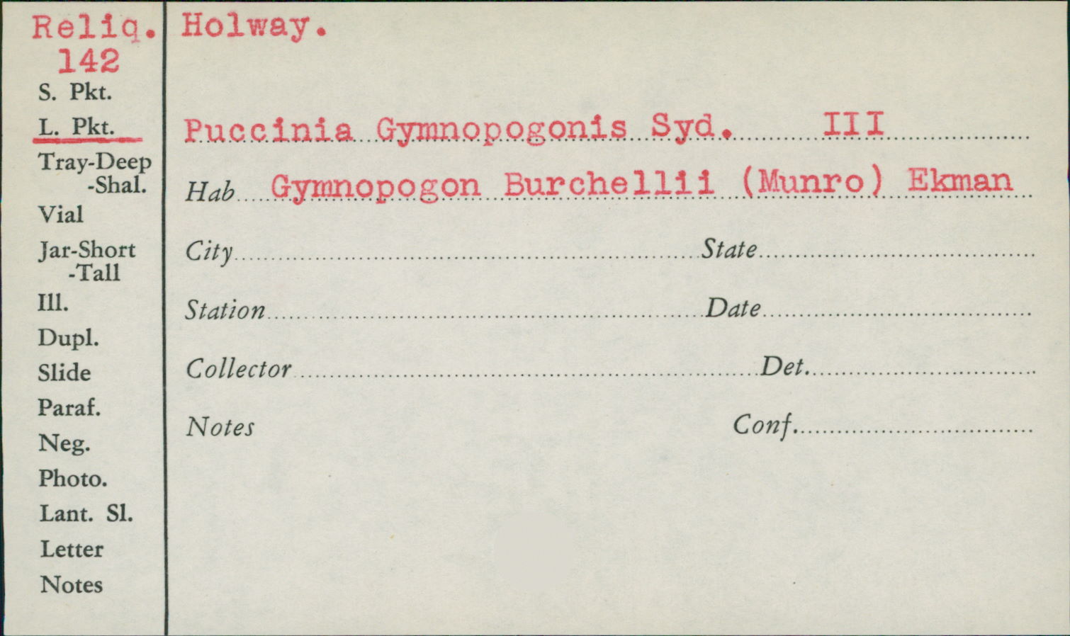 Puccinia gymnopogonis image