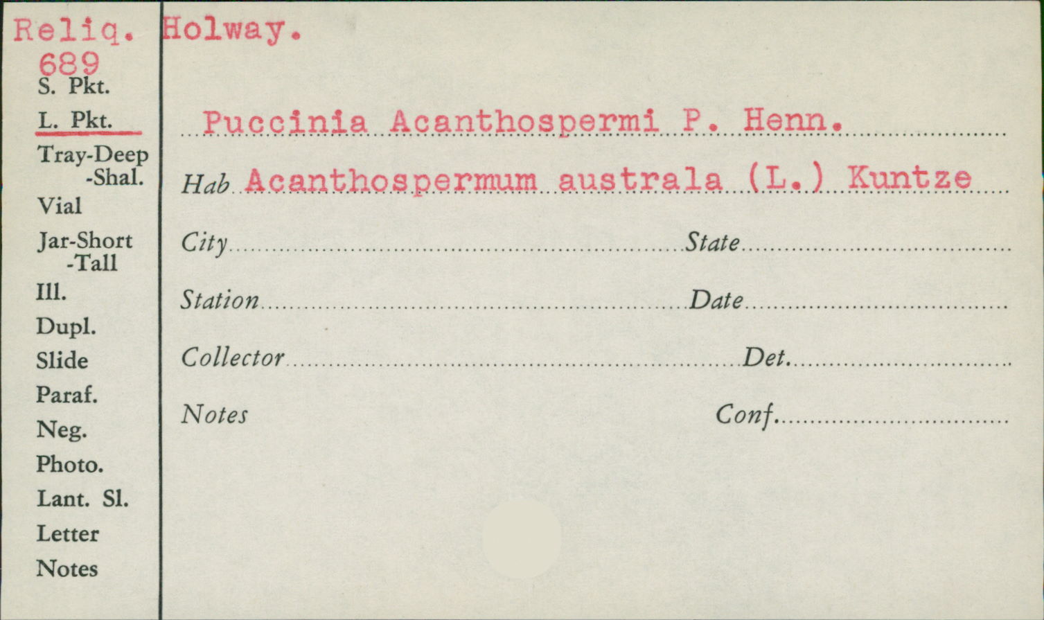 Puccinia acanthospermi image