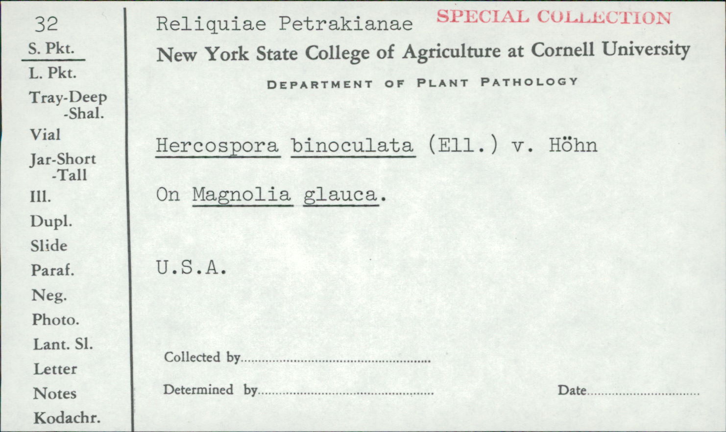 Hercospora binoculata image