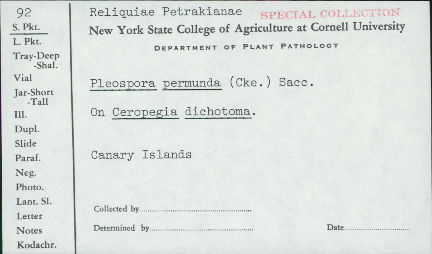 Clathrospora permunda image