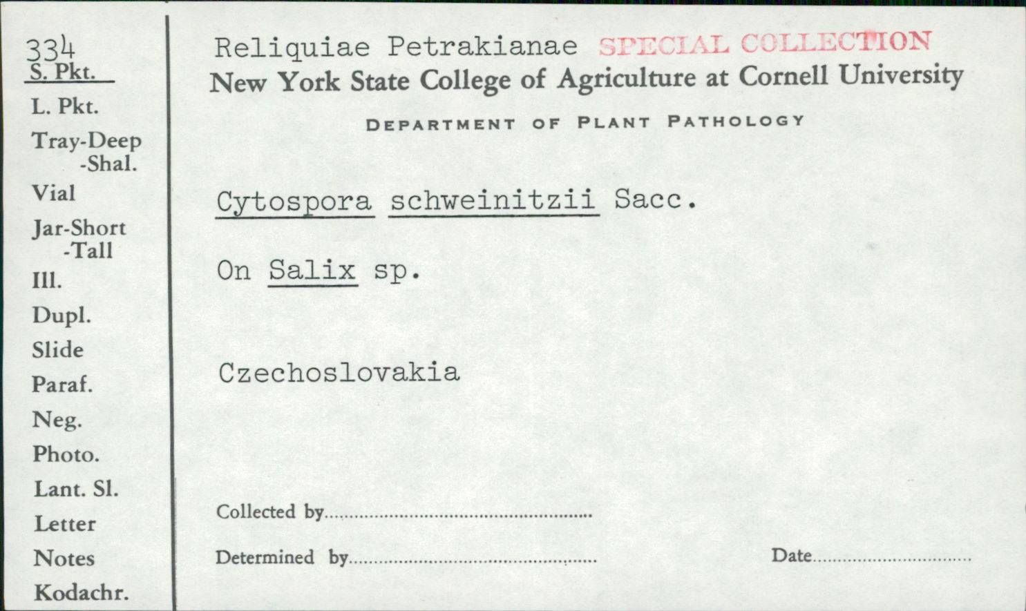 Cytospora schweinitzii image