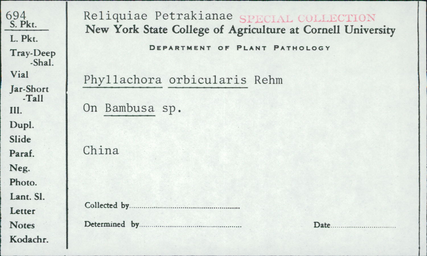 Phyllachora orbicularis image