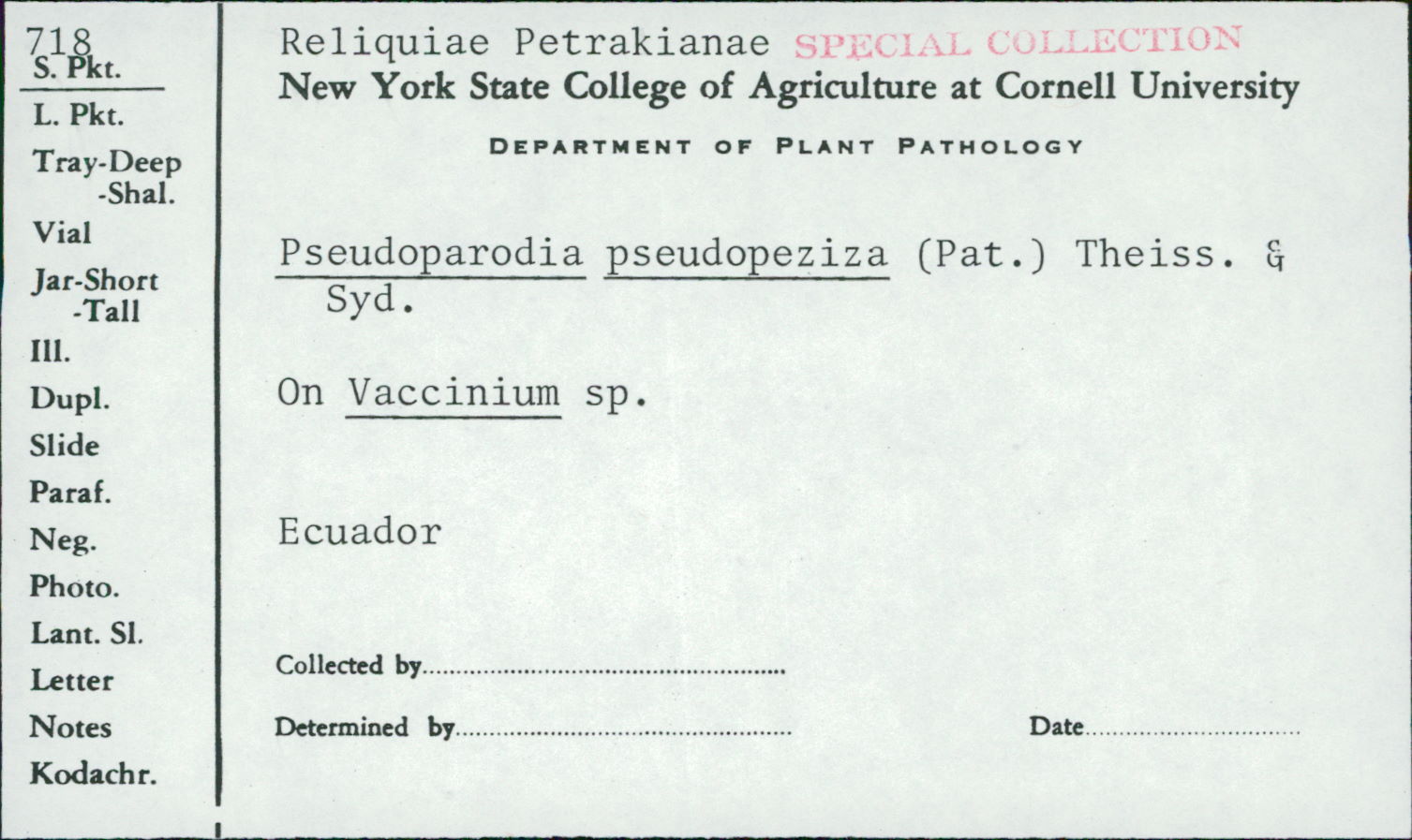 Pseudoparodia pseudopeziza image