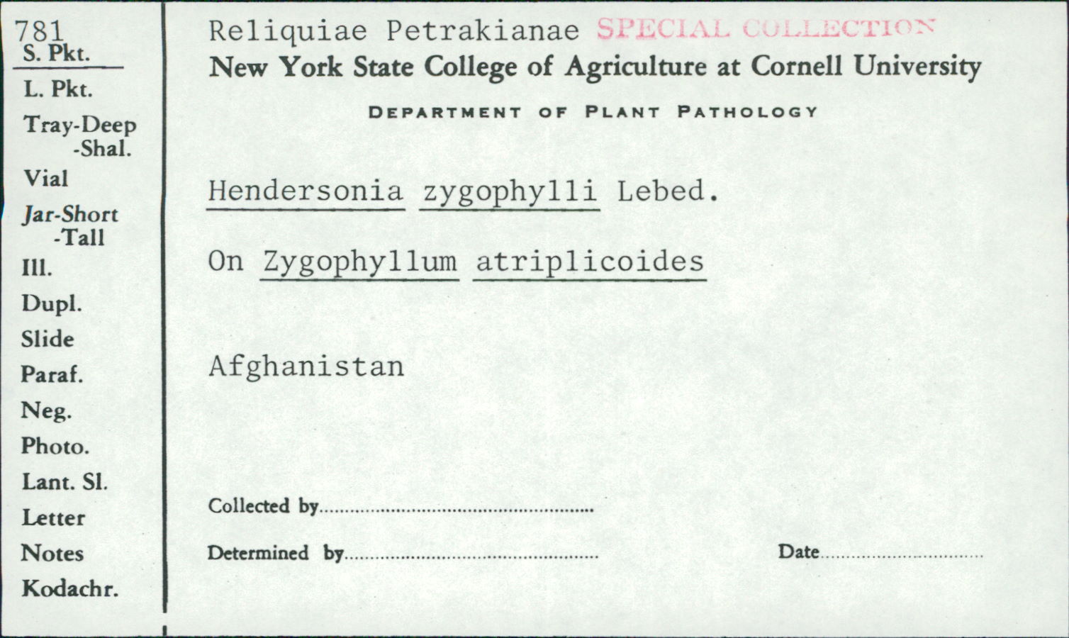 Hendersonia zygophylli image