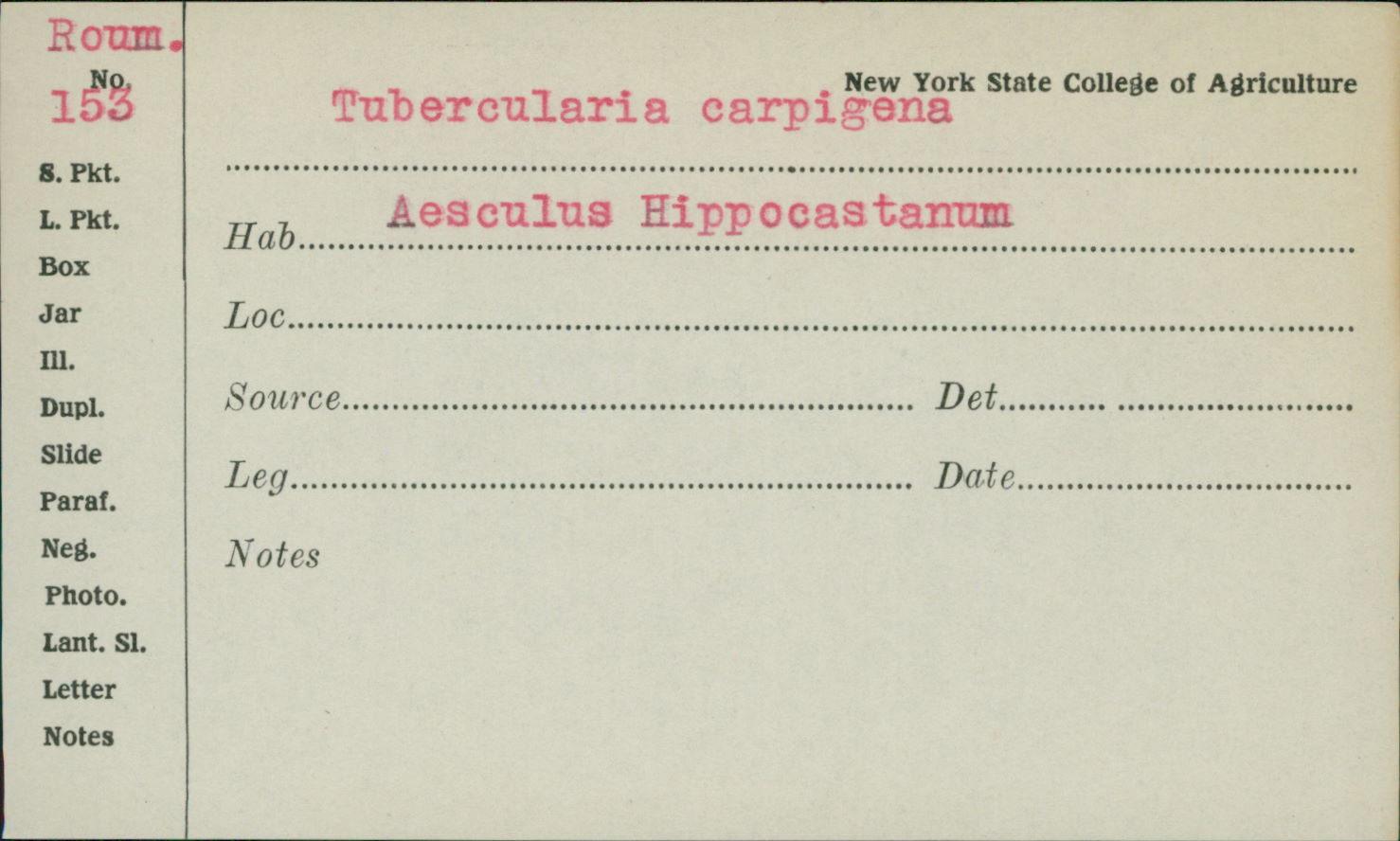 Tubercularia carpogena image