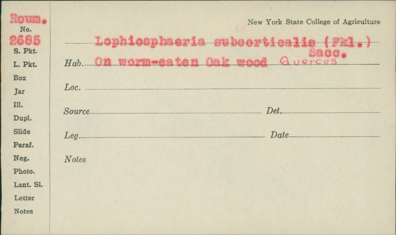 Lophiosphaera subcorticalis image