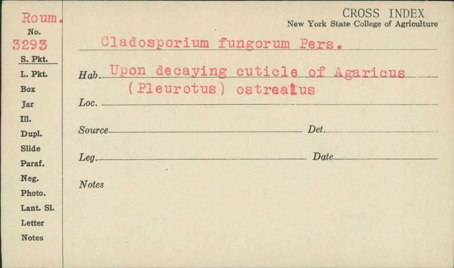 Cladosporium fungorum image