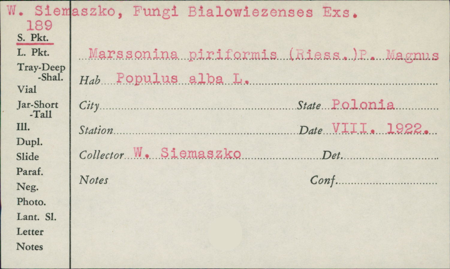 Marssonina piriformis image