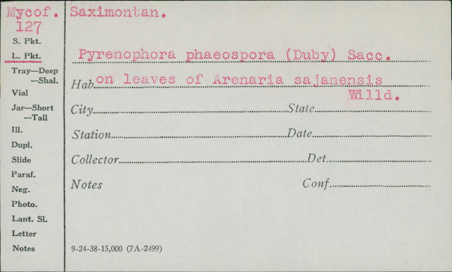 Phaeospora image