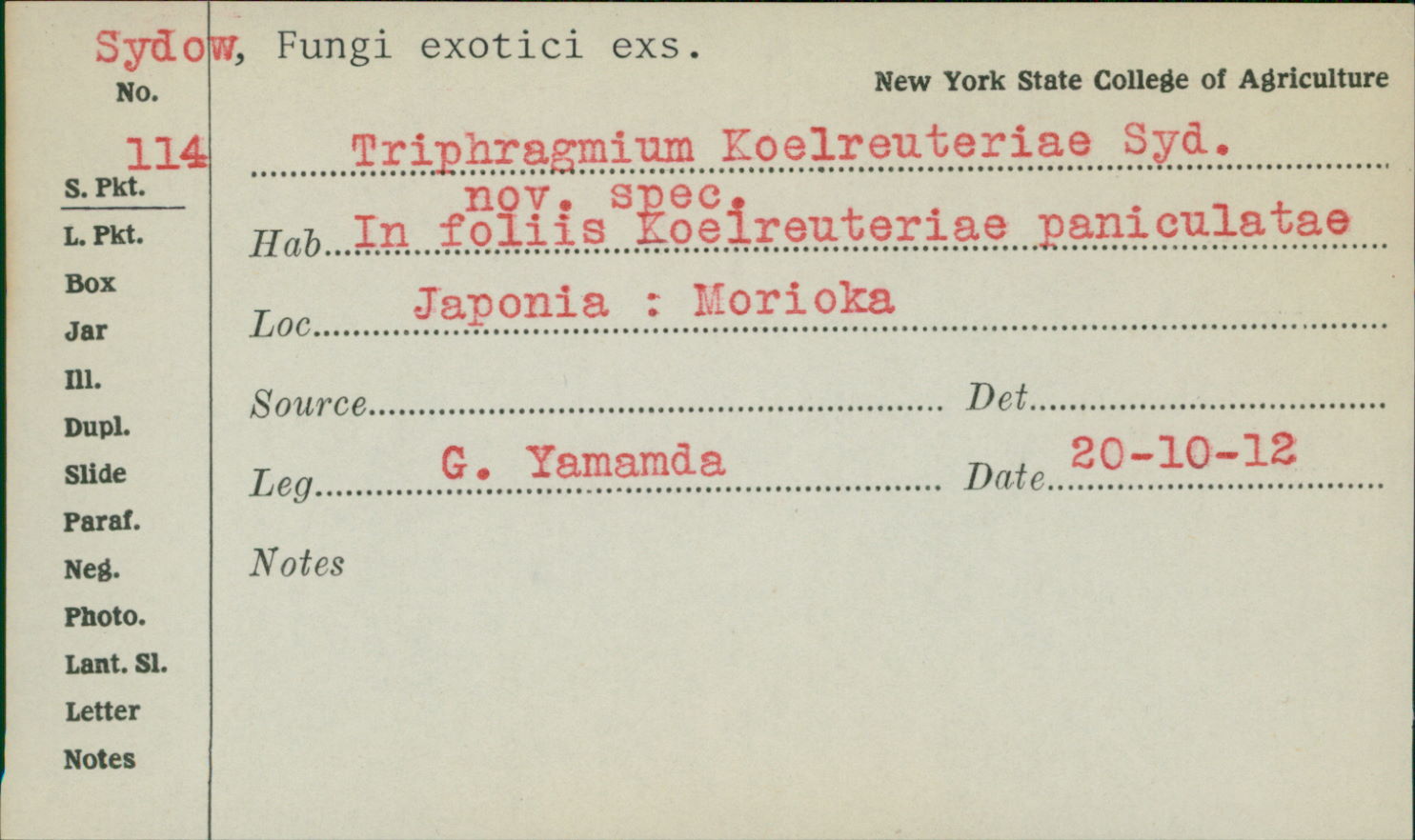 Nyssopsora koelreuteriae image