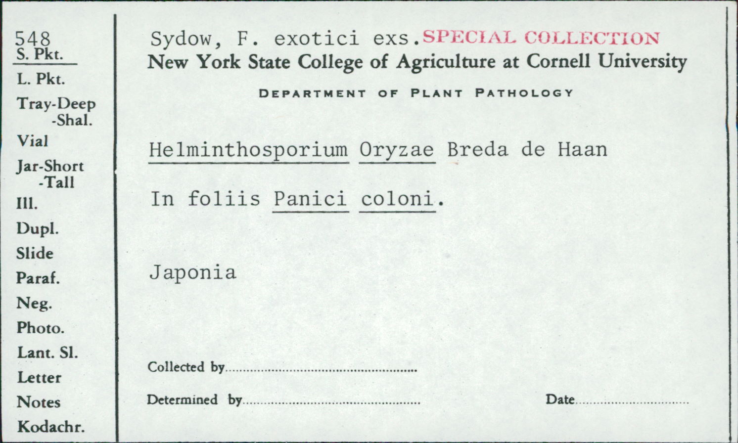 Helminthosporium oryzae image