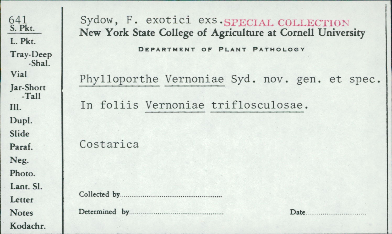 Phylloporthe image