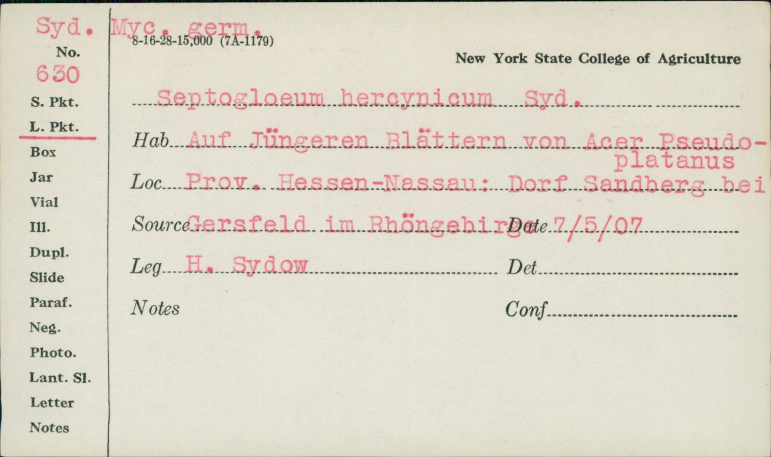 Septogloeum hercynicum image