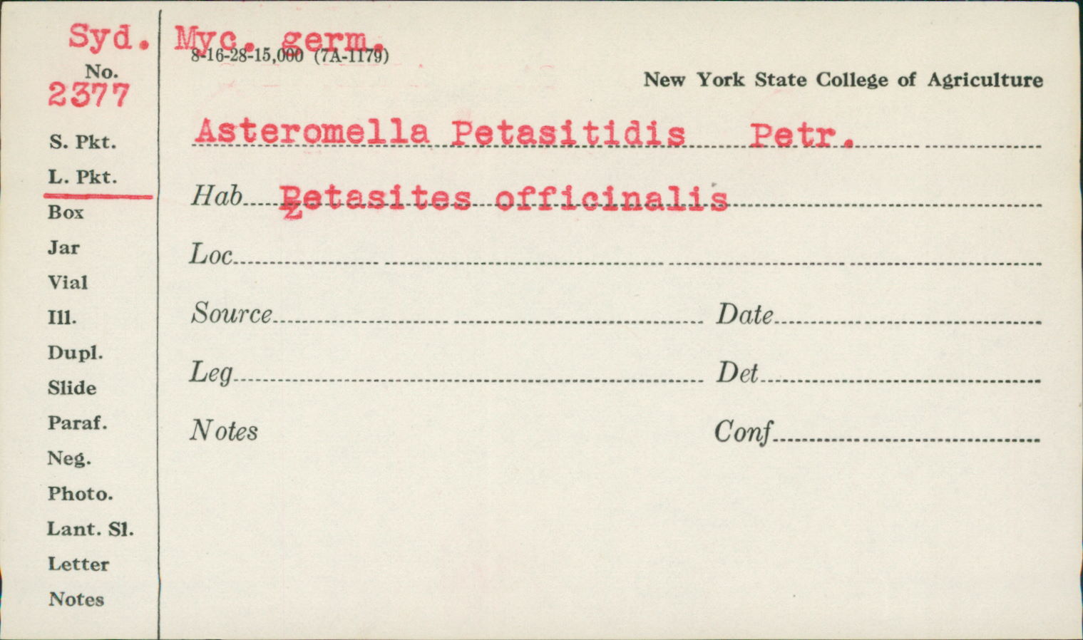Asteromella image