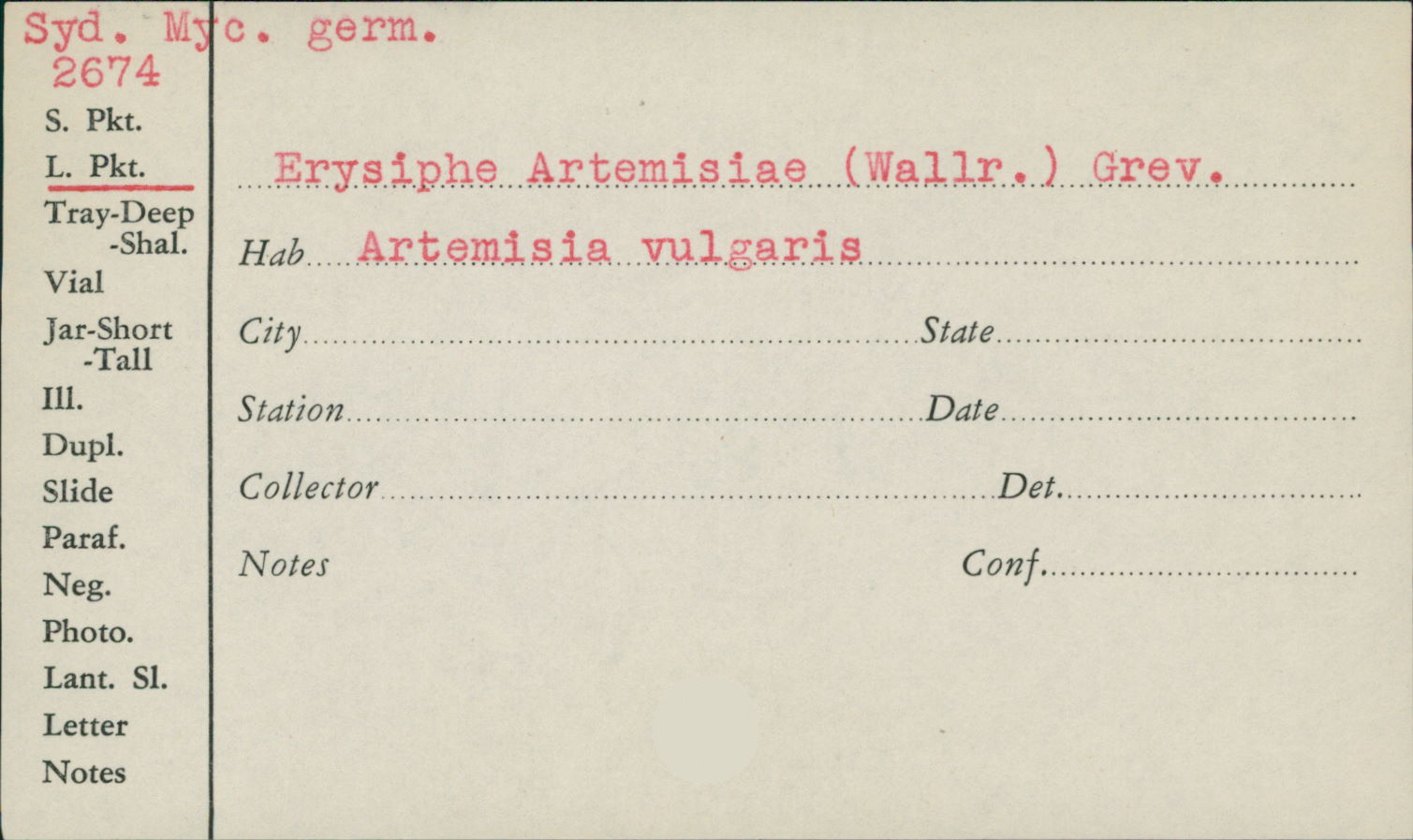 Erysiphe artemisiae image