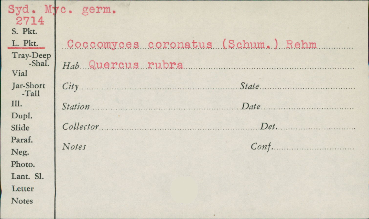 Coccomyces coronatus image