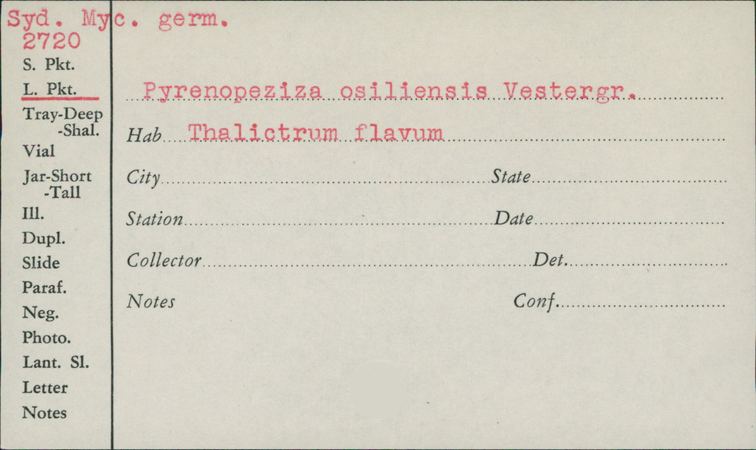 Pyrenopeziza osiliensis image