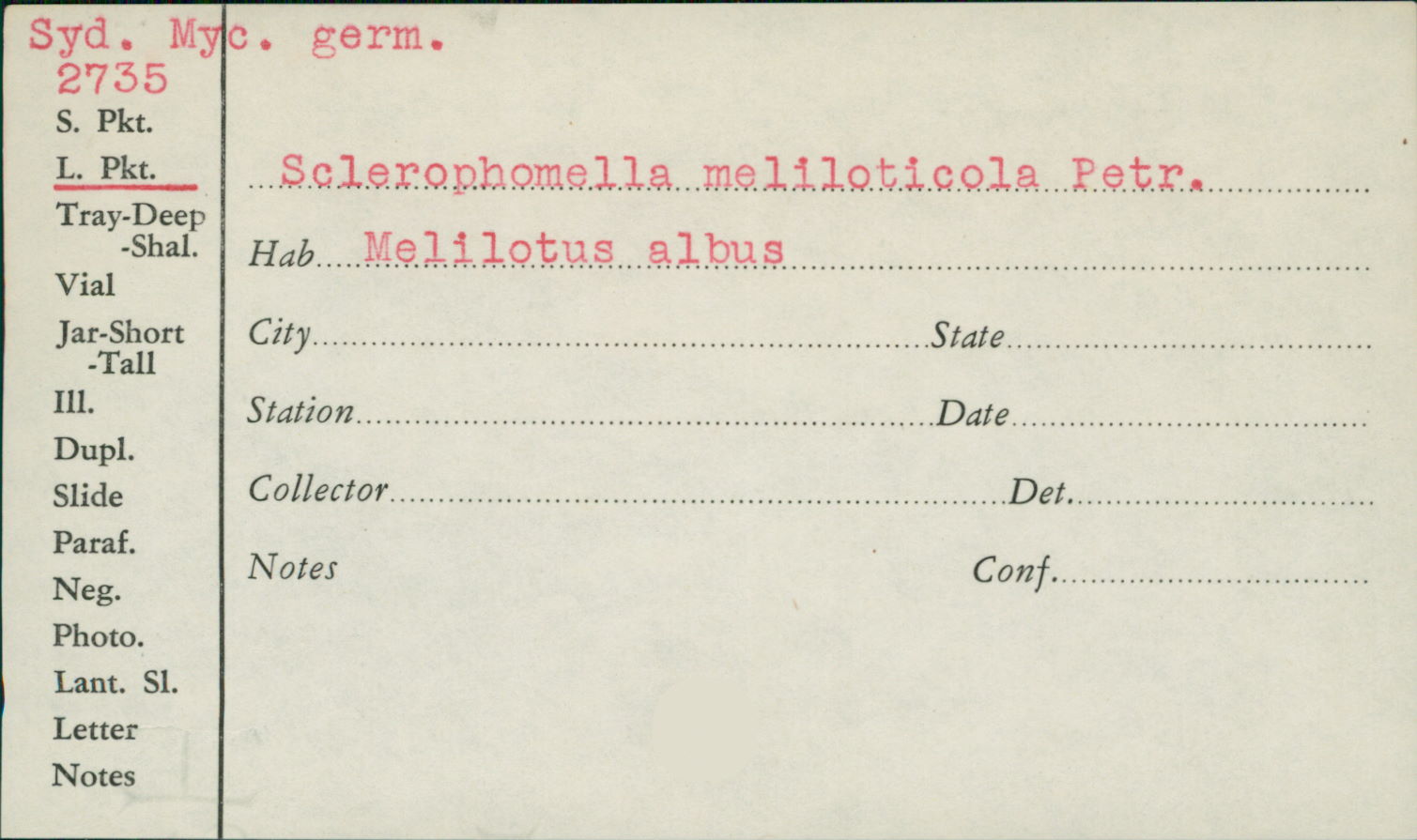 Sclerophomella meliloticola image