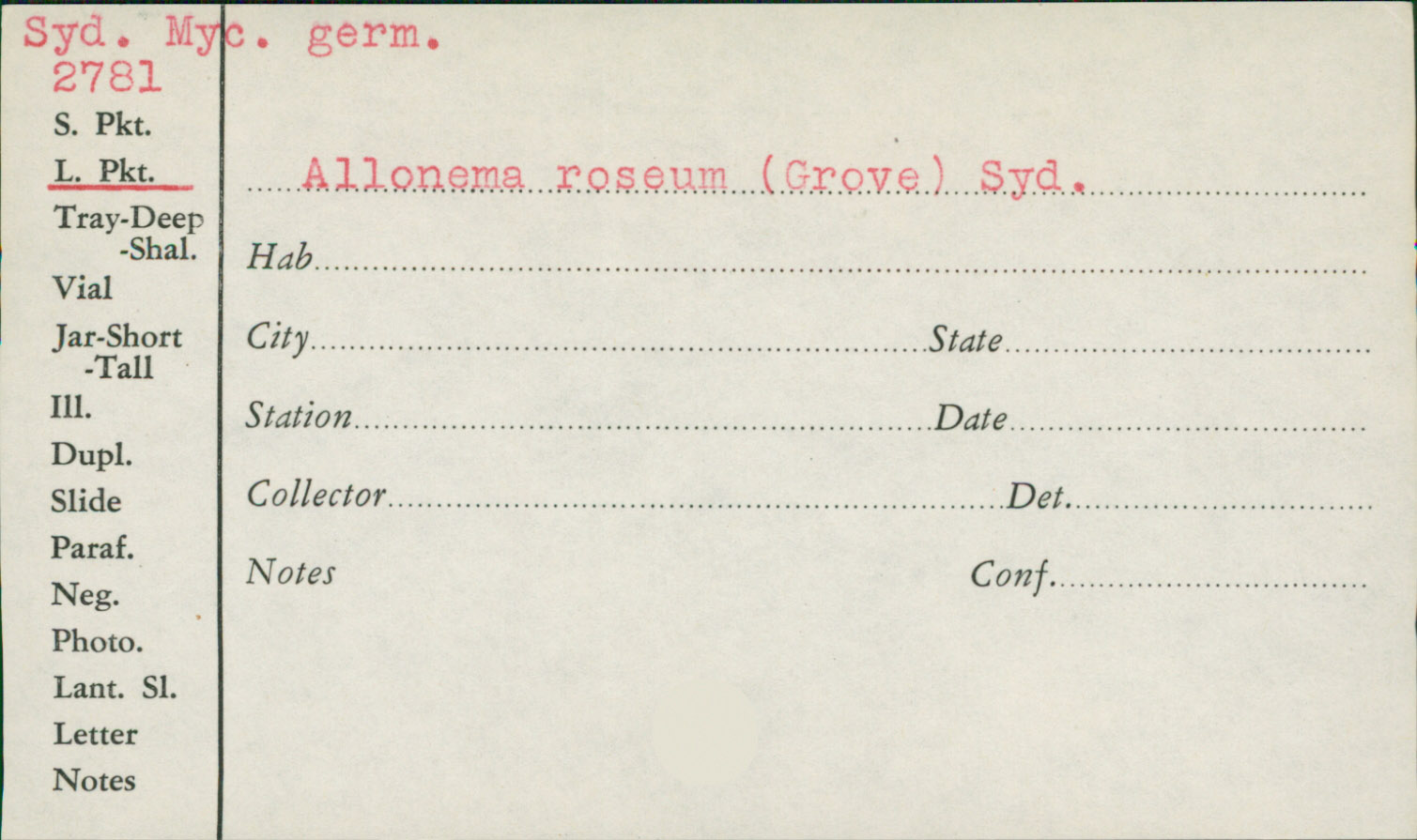 Allonema roseum image