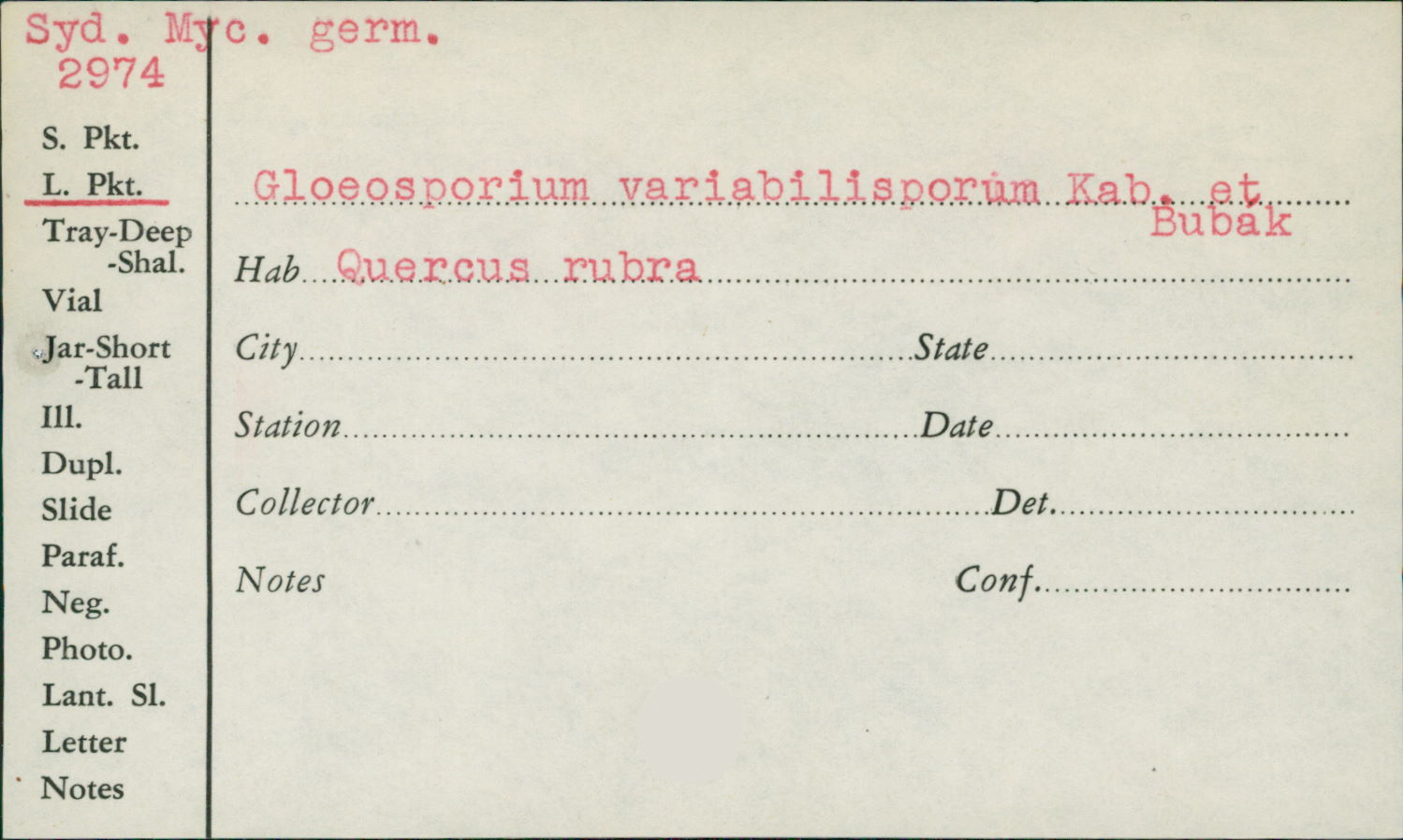 Gloeosporium variabilisporum image