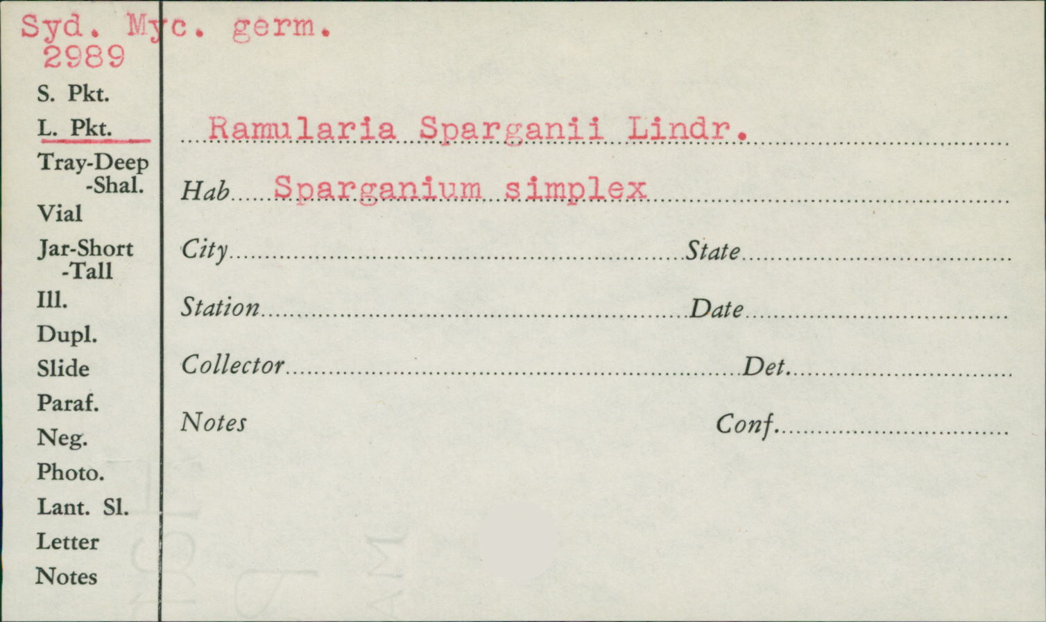 Ramularia sparganii image