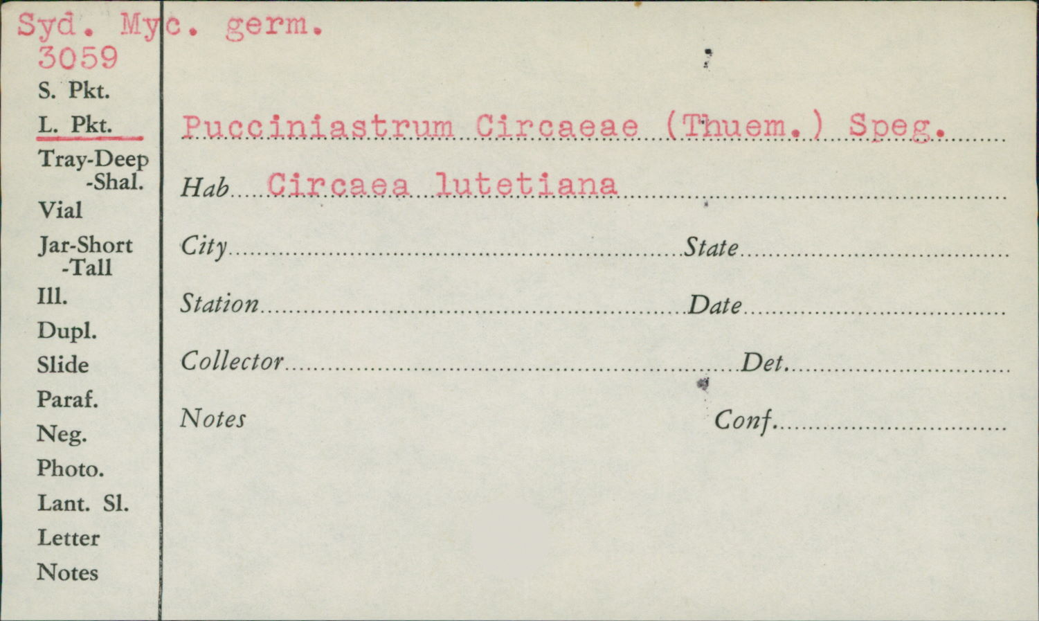 Pucciniastrum circaeae image