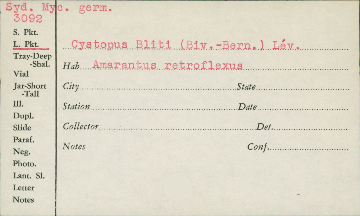 Cystopus bliti image