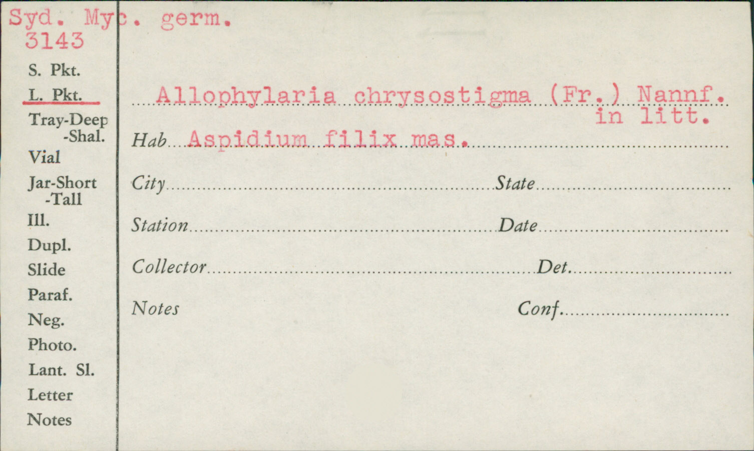 Psilachnum chrysostigma image