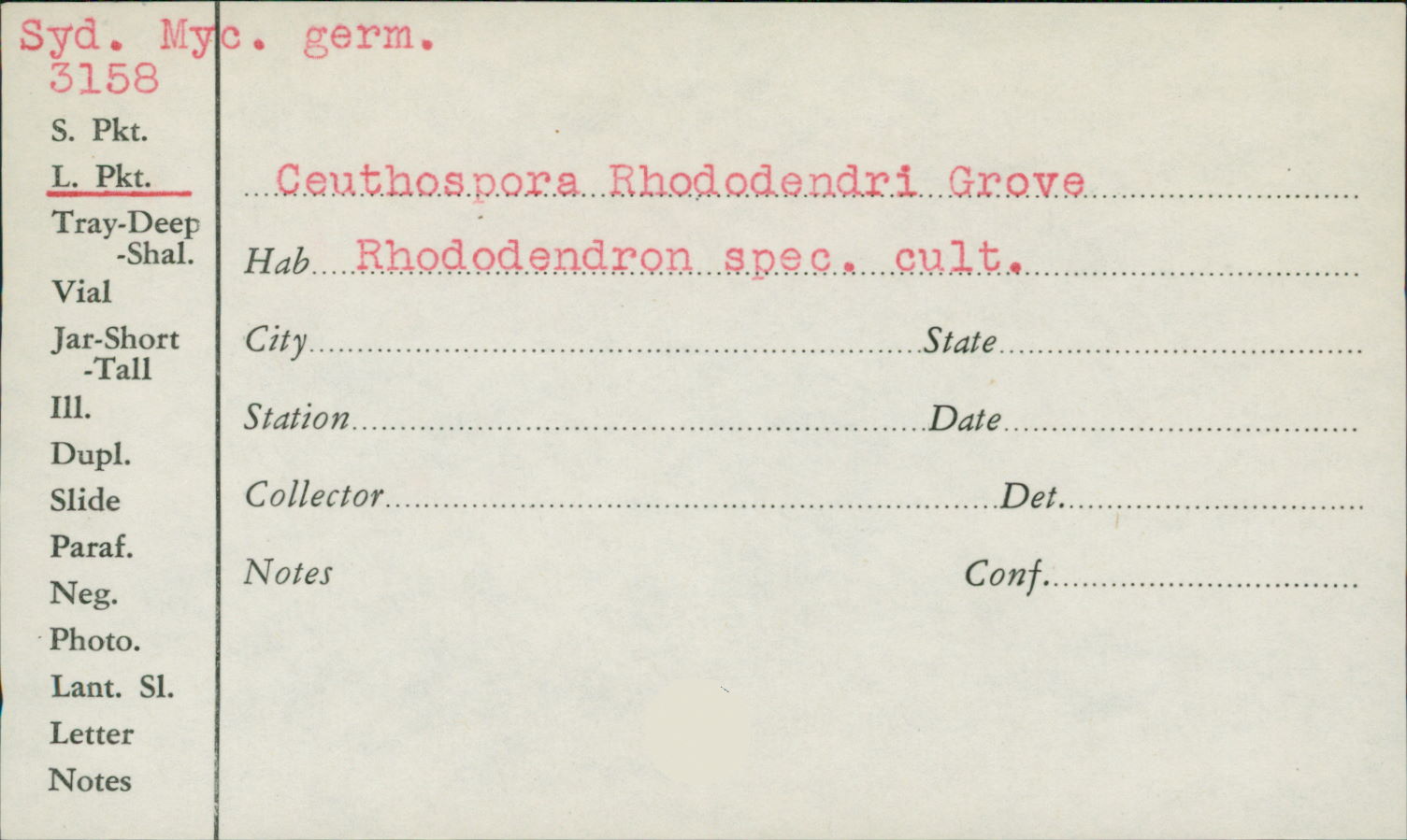 Ceuthospora rhododendri image