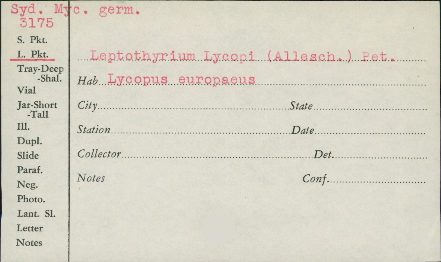 Leptothyrium lycopi image
