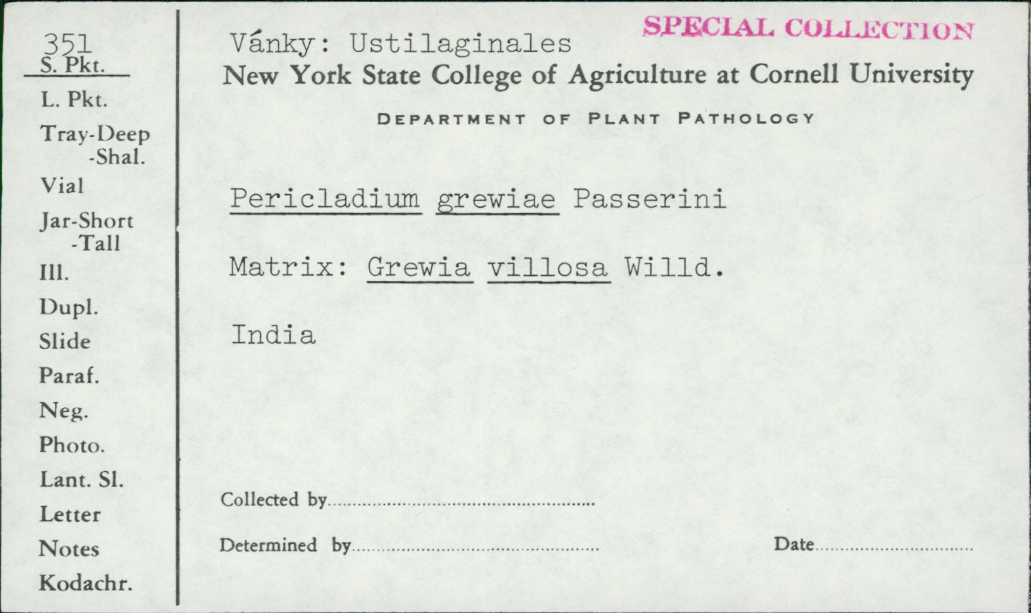 Pericladium image