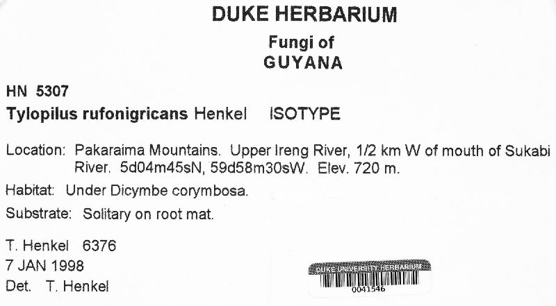 Tylopilus rufonigricans image