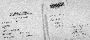 Coriolopsis gallica image