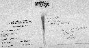 Gloeoporus dichrous image