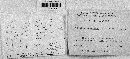 Inonotus dryadeus image