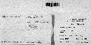 Phellinus gilvus image